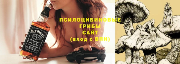 apvp Верхний Тагил